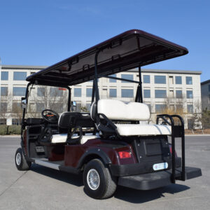 golf car back-seat